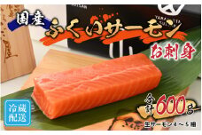 【先行予約】国産 生サーモン お刺身 ふくいサーモン（柵）600g【2024年4月下旬より順次発送】[B-065019]