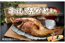 丸ごと1尾焼き上げた福井名物 串焼き赤かれい 1本 【 伝統食 焼がれい 赤ガレイ かれい丸ごと 風味豊か 福井名物 冷凍配送 郷土料理 ローカルフード 】 [A-065027]