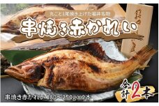 丸ごと1尾焼き上げた福井名物 串焼き赤かれい 2本【 伝統食 焼がれい 赤ガレイ かれい丸ごと 風味豊か 福井名物 冷凍配送 郷土料理 ローカルフード 】 [A-065028]