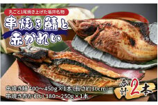 福井名物 串焼き鯖と串焼き赤かれいセット 合計2本 【半夏生 高栄養 スタミナ食 焼サバ 丸ごと 福井名物 焼がれい 赤ガレイ かれい 】 [A-065029]