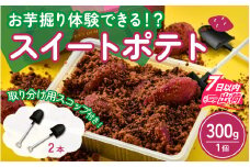 ふくのいも お芋掘りスイートポテト [A-135001] スイーツ サツマイモ オイモ とみつ金時 お菓子 クランチ  バレンタイン ホワイトデー
