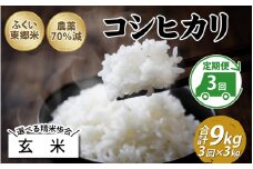 【先行予約】【定期便3ヶ月連続】令和7年産 ふくい東郷米 特別栽培米 農薬70％減 コシヒカリ 3kg×3ヶ月 合計9kg【玄米】[B-020009_02]