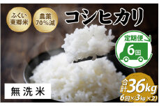 【先行予約】【定期便6ヶ月連続】令和7年産 ふくい東郷米 特別栽培米 農薬70％減 コシヒカリ 6kg(3kg×2袋)×6ヶ月 合計36kg【無洗米】[H-020013_04]