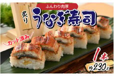 ふんわり肉厚 炙りうなぎ寿司 1本 [A-065032] / 肉厚 炙り ふんわり うなぎ 寿司 母の日