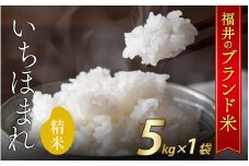 【先行予約】【1月上旬発送開始】令和6年産 新米 福井県産いちほまれ 5kg [A-030009]　ブランド ブランド米 米 お米 コメ いちほまれ 送料無料 期間限定 数量限定 在庫あり 5kg おすすめ 福井 令和6年産 新米
