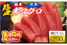 【冷蔵・指定日着可】生本マグロ赤身 約250g 2～3人前 [A-066003_pr] / 生活応援 国産 まぐろ 鮪 さく 柵どり 冷蔵 真空パック ヘルシー 2人前 3人前 新鮮 刺身 丼