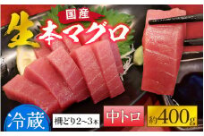 【冷蔵・指定日着可】生本マグロ中トロ 約400g 3～4人前 [B-066006] / 国産 まぐろ 鮪 さく 柵どり 冷蔵 真空パック ヘルシー 4人前 3人前 新鮮 刺身 丼