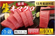 【冷蔵・指定日着可】生本マグロ中トロ 約400g 3～4人前 [B-066006] / 国産 まぐろ 鮪 さく 柵どり 冷蔵 真空パック ヘルシー 4人前 3人前 新鮮 刺身 丼