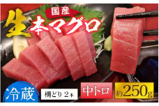 【冷蔵・指定日着可】生本マグロ中トロ 約250g 2～3人前 [A-066005] / 国産 まぐろ 鮪 さく 柵どり 冷蔵 真空パック ヘルシー 2人前 3人前 新鮮 刺身 丼