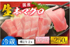 【冷蔵・指定日着可】生本マグロ大トロ 約250g 2～3人前 [A-066007] / 国産 まぐろ 鮪 さく 柵どり 冷蔵 真空パック ヘルシー 2人前 3人前 新鮮 刺身 丼