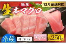 【冷蔵・指定日着可】生本マグロ大トロ 約250g 2～3人前 [A-066007] / 国産 まぐろ 鮪 さく 柵どり 冷蔵 真空パック ヘルシー 2人前 3人前 新鮮 刺身 丼