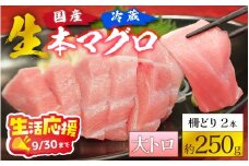 【冷蔵・指定日着可】生本マグロ大トロ 約250g 2～3人前 [A-066007] / 生活応援 国産 まぐろ 鮪 さく 柵どり 冷蔵 真空パック ヘルシー 2人前 3人前 新鮮 刺身 丼