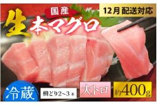 【冷蔵・指定日着可】生本マグロ大トロ 約400g 3～4人前 [B-066008] / 国産 まぐろ 鮪 さく 柵どり 冷蔵 真空パック ヘルシー 4人前 3人前 新鮮 刺身 丼