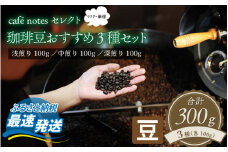 café notesセレクト 珈琲豆おすすめ3種セット（珈琲豆） 【 カフェ コーヒー 詰め合わせ 浅煎 中煎 深煎 厳選 】