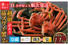 【先行予約】[捌き済選択可][到着日指定可]【訳あり】蟹好きが唸る老舗カニ料理店の越前茹ズワイ蟹 大サイズ(900g～1.1ｋg)2杯【11月中旬より順次発送】 [J-085030]