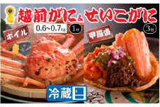 【先行予約】【蟹問屋 越前田村屋 究極の逸品】越前がに（ズワイ） 0.6-0.7kg 1杯 + セイコがに甲羅盛 3個セット  [H-029018]