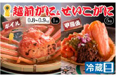 【先行予約】【蟹問屋 越前田村屋 究極の逸品】越前がに（ズワイ）0.8-0.9kg 1杯 + セイコがに甲羅盛 5個セット [K-029021]