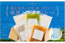 越前福井の大地と海に育まれた厳選スープ 6品セット 【 玉ねぎ まいたけ ポタージュ 甘えび ビスク さつまいも クレソン 】 [A-141001]