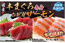 本まぐろ赤身（柵）100gとお刺身サーモン（柵）100gセット 【マグロ クロマグロ トラウトサーモン アトランティックサーモン 鮭 冷凍 国産 ノルウェー産 養殖】 [A-065051]