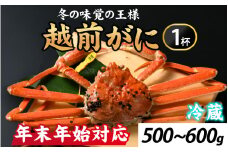 【12月26日受付分まで年内配送】[先行予約] 冬の王者！茹で越前がに500-600g　１杯【年末年始対応】 [H-065038] /  かに 蟹 ずわい ズワイ 茹でがに【年内発送 年内お届け】