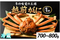 先行予約冬の王者！茹で越前がに700-800g　１杯【11月中旬より順次発送、年末年始対応不可】 [I-065039] 【市場直送】/ かに 蟹 ずわい ズワイ 茹でがに 送料無料