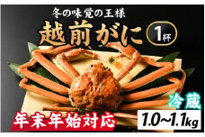 【12月26日受付分まで年内配送】[先行予約] 冬の王者！茹で越前がに1000-1100g　１杯 [N-065042] /  かに 蟹 ずわい ズワイ 茹でがに【年内発送 年内お届け】