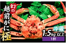 [先行予約]奇跡のズワイ蟹！茹で越前がに【極】１杯【11月中旬より順次発送、年末年始対応不可】　[W-065043] 【市場直送】 / かに 蟹 ずわい ズワイ 茹でがに 極