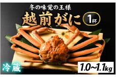 先行予約【市場直送】冬の王者！茹で越前がに1000-1100g　１杯【11月中旬より順次発送、年末年始対応不可】[L-065041] / かに 蟹 ずわい ズワイ 茹でがに