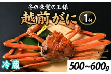 先行予約冬の王者！茹で越前がに500-600g　１杯【11月中旬より順次発送、年末年始対応不可】[G-065037] 【市場直送】 / かに 蟹 ずわい ズワイ 茹でがに 送料無料