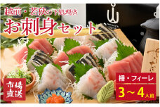 【市場直送】越前・若狭の下処理済お刺身セット（柵・フィーレ） 3～4人前【鮮魚 お刺身 旬 魚 新鮮 冷蔵】 [A-065056]