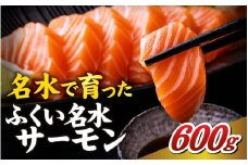 ふくい名水サーモン（小分けパック）約600ｇ [A-065058] / サーモン 鮭 さけ しゃけ 小分け パック 個包装 福井 名水 冷凍 刺身 にじます ニジマス 虹鱒 ブランド 川魚 魚 さしみ 切り身 切身 フィレ 国産