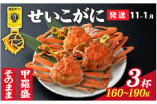 【先行予約】選べる！美味しさ直送【成前特選】 せいこがに （160g～190g）×3杯【11月～1月発送】姿 [C-028040_06] / ズワイガニ 甲羅盛り 越前がに かに 蟹 楚蟹 セイコ蟹 越前かに 香箱がに こうばこがに 親ガニ こっぺがに せこがに 甲羅蟹 甲羅がに 香箱蟹 メス ずわいがに カニ セイコガニ