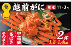 【先行予約】選べる！美味しさ直送【成前特選】越前かに（1.3kg～1.4kg）×2杯【11月～3月発送】 甲羅盛  [R-028062_07]