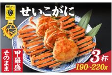 【先行予約】【11月～1月発送】選べる！美味しさ直送【成前特選】 せいこがに（190g～220g）×3杯 姿 [E-028044_06] / ズワイガニ 越前がに かに 蟹 楚蟹 セイコ蟹 越前かに 香箱がに こうばこがに 親ガニ こっぺがに せこがに 甲羅蟹 甲羅がに 香箱蟹 メス ずわいがに カニ セイコガニ