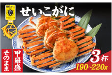 【先行予約】【11月～1月発送】選べる！美味しさ直送【成前特選】 せいこがに（190g～220g）×3杯 姿 [E-028044_06] / 姿 ズワイガニ 越前がに かに 蟹 楚蟹 セイコ蟹 越前かに 香箱がに こうばこがに 親ガニ こっぺがに せこがに 甲羅蟹 甲羅がに 香箱蟹 メス ずわいがに カニ セイコガニ