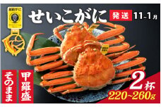 【先行予約】選べる！美味しさ直送【成前特選】 せいこがに（220g～260g）×2杯 【11月～1月発送】姿 [E-028045_06] / ズワイガニ 甲羅盛り 越前がに かに 蟹 楚蟹 セイコ蟹 越前かに 香箱がに こうばこがに 親ガニ こっぺがに せこがに 甲羅蟹 甲羅がに 香箱蟹 メス ずわいがに カニ セイコガニ