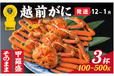 【先行予約】選べる！美味しさ直送【成前特選】 越前がに（400g～500g）×3杯【12月～1月発送】姿  [L-028066_06]