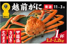 【先行予約】選べる！美味しさ直送【成前特選】越前かに（1.1kg～1.2kg）×１杯【11月～3月発送】姿  [O-028050_06]