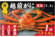 【先行予約】選べる！美味しさ直送【成前特選】越前かに（1.3kg～1.4kg）×1杯【11月～3月発送】捌き [P-028051_08] / 福井県 福井 オス 雄 ズワイガニ ボイル 冷蔵 越前ガニ 越前がに 越前カニ ずわいがに ずわい蟹 かに カニ 蟹 指定 茹で 甲羅盛り 甲羅盛 すがた 姿 チルド 越前蟹 ずわい ズワイ 茹で蟹 茹で むき身