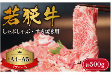 A4～A5ランク 若狭牛 しゃぶしゃぶ・すき焼き用（リブロース） 約500g  [B-066009]