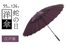 蛇の目洋傘　雨傘(親骨55㎝)　カラー10色 [K-035003_10]