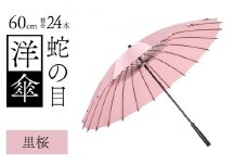 蛇の目洋傘　雨傘(親骨60㎝)　カラー10色 [N-035008_03]