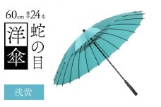 蛇の目洋傘　雨傘(親骨60㎝)　カラー10色 [N-035008_05]