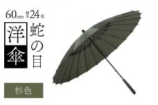 蛇の目洋傘　雨傘(親骨60㎝)　カラー10色 [N-035008_06]