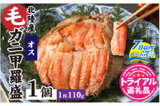 【トライアル返礼品】蟹好き集まれ！北陸産オス毛ガニ 甲羅盛【オス甲羅盛110ｇ前後】【訳あり】 [A-096007] / カニ 蟹 かに ケガニ 毛蟹 毛がに ゆで 茹で 茹でがに ボイル 甲羅盛 甲羅盛り 北陸産 石川 かに ガニ 蟹 専門店 冷凍 手軽 かに酢 カニ 国産 オス 雄 訳アリ ワケアリ 甲羅蟹 甲羅がに