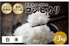 令和6年産 ふくい東郷米 特別栽培米 農薬70％減 コシヒカリ 3kg【白米】[A-020018_01] / 3キロ コシヒカリ こしひかり 米 お米 こめ コメ 白米 ご飯 真空 袋 国産 送料無料 白米 精米 福井 令和6年 令和六年産