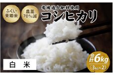 令和6年産 ふくい東郷米 特別栽培米 農薬70％減 コシヒカリ 6kg（3kg×2袋）【白米】[A-020019_01]