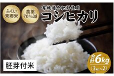 令和6年産 ふくい東郷米 特別栽培米 農薬70％減 コシヒカリ 6kg（3kg×2袋）【胚芽付米】[A-020019_03]