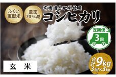 【定期便3ヶ月連続】令和6年産 ふくい東郷米特別栽培米　農薬70％減コシヒカリ 3kg×3ヶ月 合計9kg【玄米】[B-020020_02]