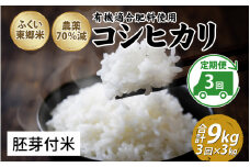 【定期便3ヶ月連続】令和6年産 ふくい東郷米特別栽培米　農薬70％減コシヒカリ 3kg×3ヶ月 合計9kg【胚芽付米】[B-020020_03]
